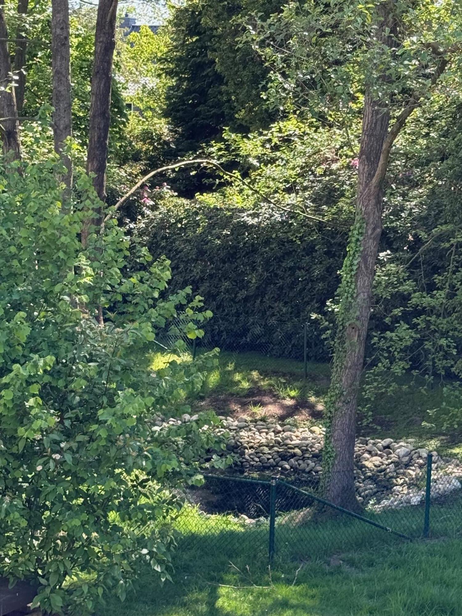 Eichenblick Apartamento Bad Zwischenahn Exterior foto