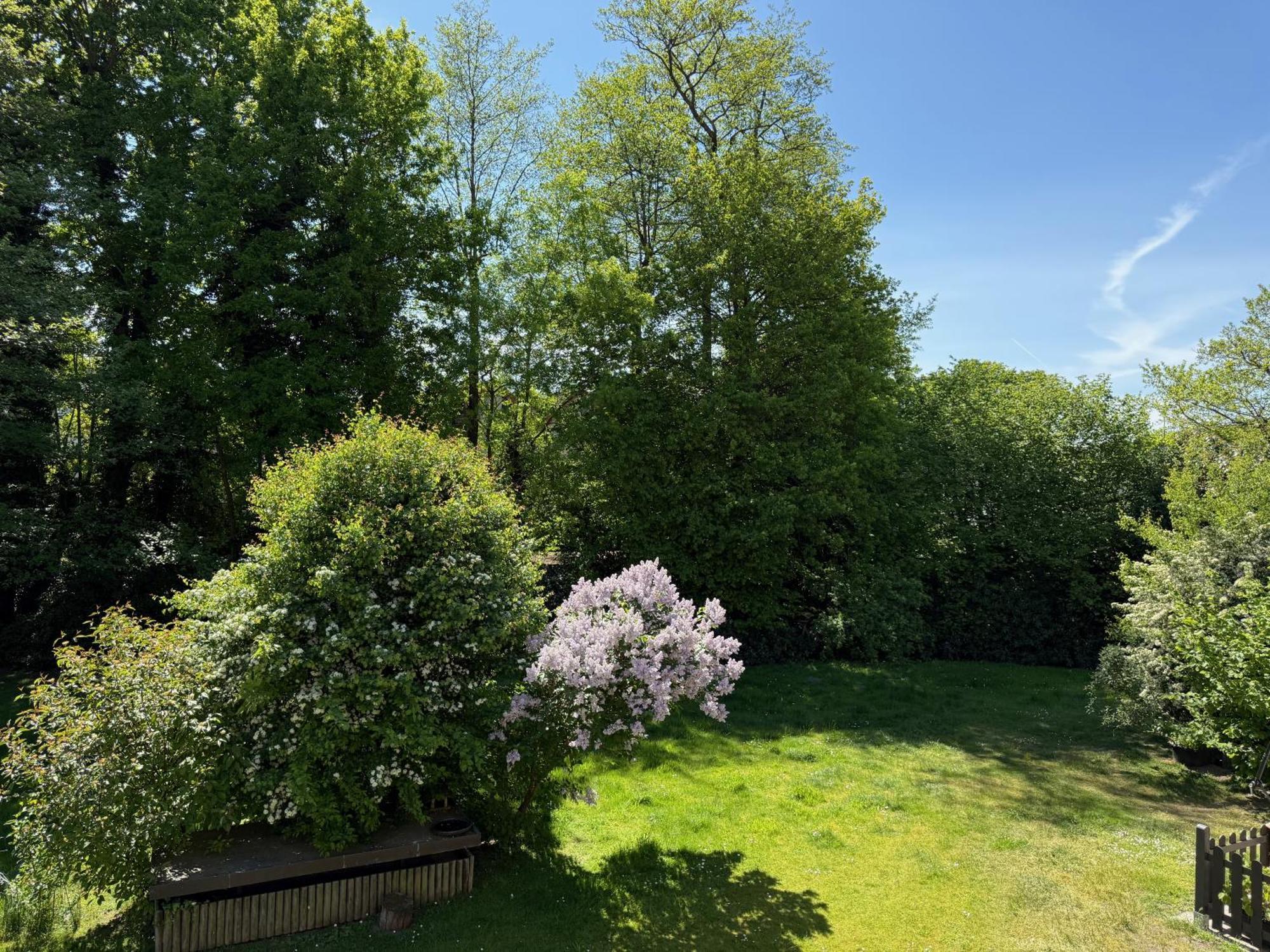 Eichenblick Apartamento Bad Zwischenahn Exterior foto